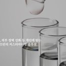 시즈의원 이미지