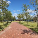 유림-1013 이미지