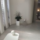 맑을아 의원 이미지