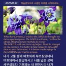 118:5 Daum카페