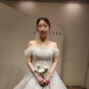베라비즈 이미지