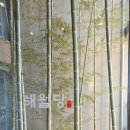 🍞 해월당 동촌유원지점 - 대구 핫플 베이커리 카페 방문기 ☕️