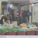 경동나물