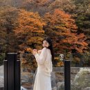 느티나무산장 이미지