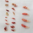 음성동물병원 이미지