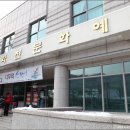여행나무 이미지