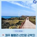 한림읍 월령리마을 | 제주 서쪽 월령포구 가볼만한 곳 월령리 선인장 군락지와 산책길