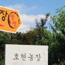 호현농장 이미지
