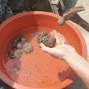 in 섬 story 이미지