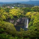 서문서로 이미지