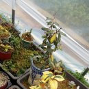 대각농장 이미지