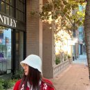 레드플라워(RED FLOWER) 이미지