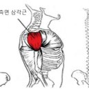 더블케이짐 이미지