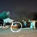 큐익스프레스(주) | [용인] 에버랜드 워킹사파리 로스트밸리 유모차 반입 주말 오후 방문후기 + 종이큐패스권 사용방법