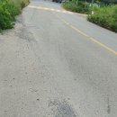 황금터부동산중개사무소 이미지