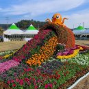 태안국화축제 축하공연 이미지