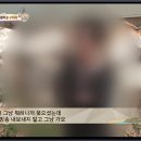 누렁이농장 이미지