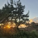 평화로길 이미지