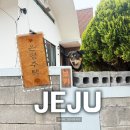 제주 표선 민박 보키랑 일주일 살아볼래 온평주택