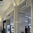 쿠론핸드백신세계대전Art&Science | [내돈내산] 셀린느 스몰 큐보백, 트리옹프 캔버스 & 내츄럴 카프스킨