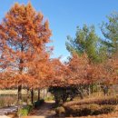 물빛근린공원 이미지