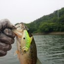 고남저수지 이미지