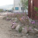 동면게이트볼장 이미지