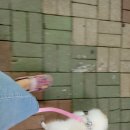 개발내발
