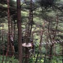 구재봉자연휴양림(하동) 이미지