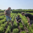 연강농장 이미지