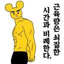 투데이PT 이미지