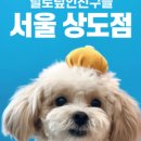 털로 덮인 친구들 이미지