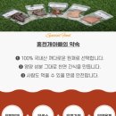 생일이개 | 홍천개아빠 반려견 기능성 홍삼간식 후기｜우리집 강아지부터 애견유치원 생일파티 급여 솔직리뷰