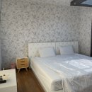 클럽타피올라 이미지