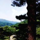 계곡사랑