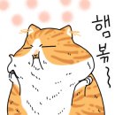 에이스테이크 - 김포시 양곡3로1번길 67 | 에이스테이크