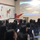 제주한라대학교 마사학부 실습승마장 네이버블로그