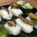 조은초밥