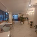 사파동214 이미지