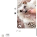 메디팜백화점약국 | [임산부 일기 27주~31주] 입체초음파, 출산준비(브라운 체온계, 조지루시 가습기, 베이비브레짜, 유팡...