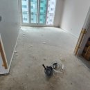 토산아델리움 이미지