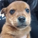 한문서예(오전) | 코코일상_251212(금요일_상주장날)우린 만났다.