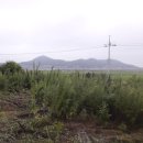 정일품농장 이미지