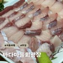 바다마을 | [중랑구] 홍길동회수산 근처 소주 4천원 방어맛집 &#39;바다마을회광장&#39; 내돈내산 솔직후기