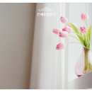 은혜종합장식 이미지