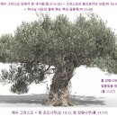 사람 그리고 새 이미지