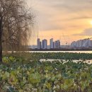 단대공원(광장) 이미지