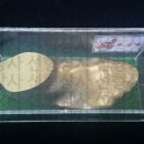 선형상사 이미지