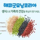 해피굿모닝 코리아