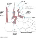 새롬한의원 이미지